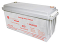 Renergy Power RPL 12V 200Ah(2.56 kWh) Lithium Battery