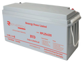 Renergy Power RPL 25V 100Ah (2.56kWh)Lithium Battery